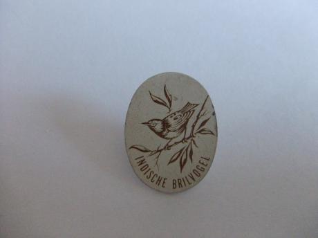 Vogel Indische Brilvogel
